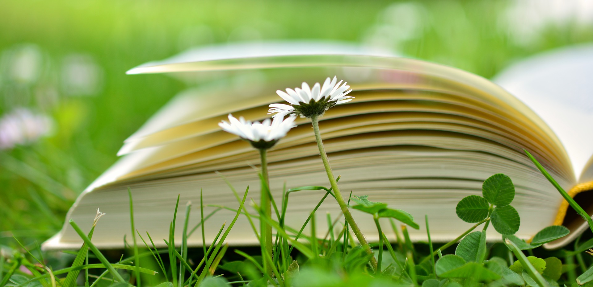 Is this your book? Is this your book?