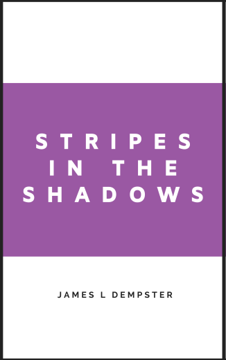 James L Dempster Stripes in the Shadows